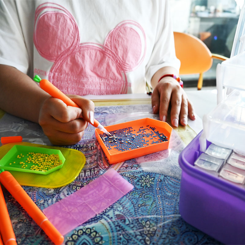 Diamond Embroidery Tools Carro - đánh giá và giá Diamond Painting Kit