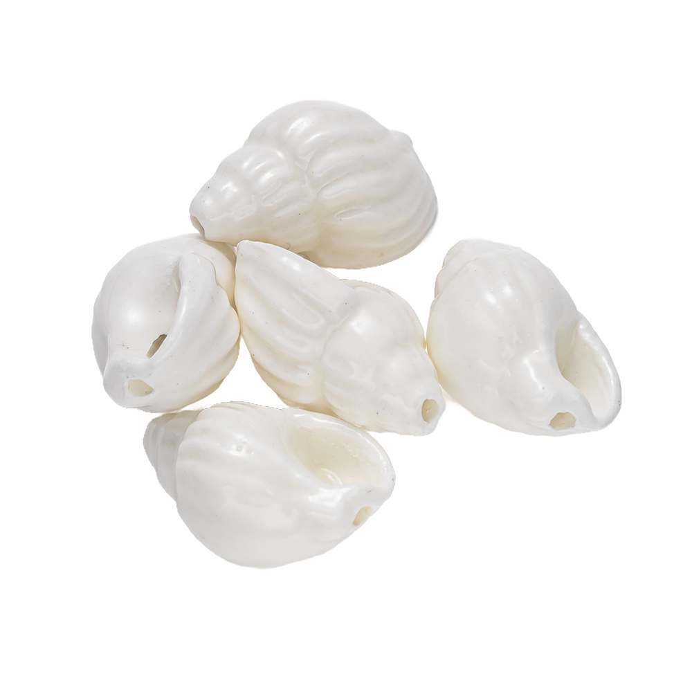 10Pcs Shell Sea Conch Ceramic  - đánh giá và giá Art Craft Accessories